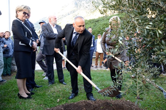 Ambassador Levy plants tree